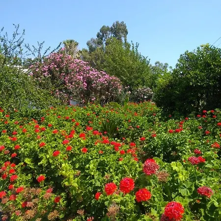 Kiris Garden Kemer