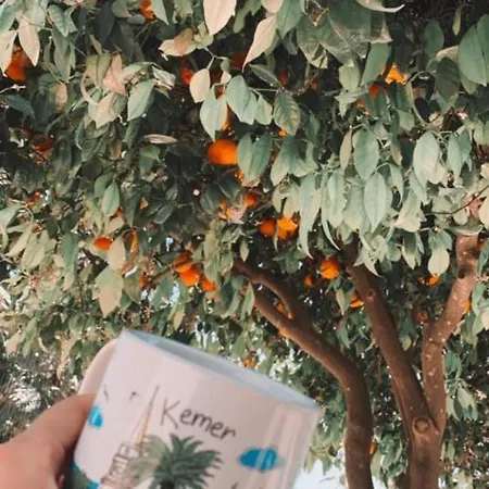 Kiriş Garden * Kemer