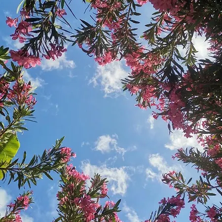 Kiris Garden Szálloda Kemer