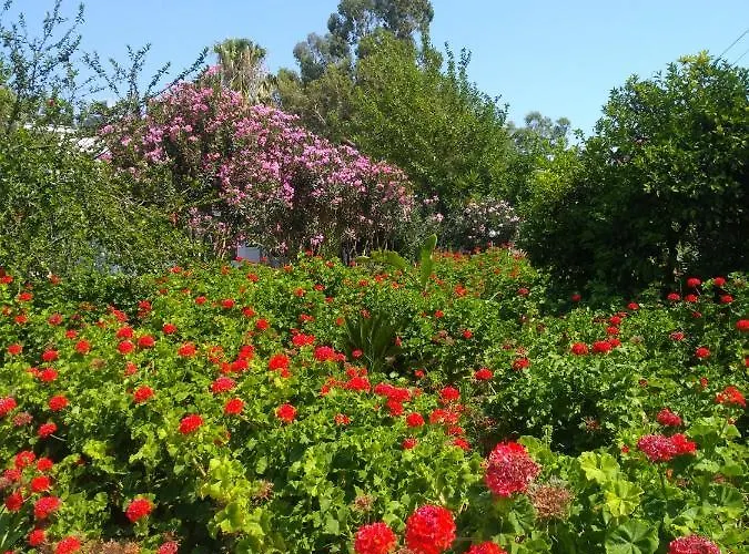 Kiris Garden Kemer
