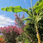 Kiris Garden Отель *