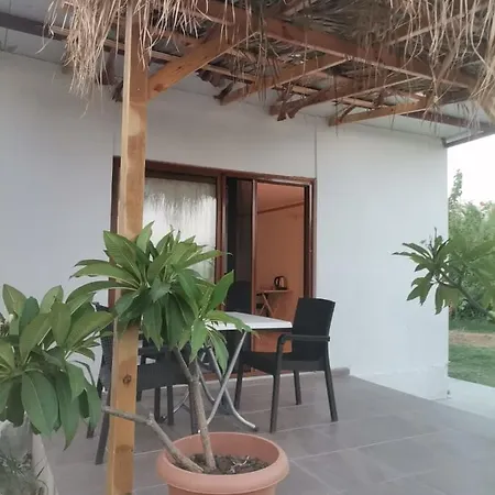 Kiris Garden
